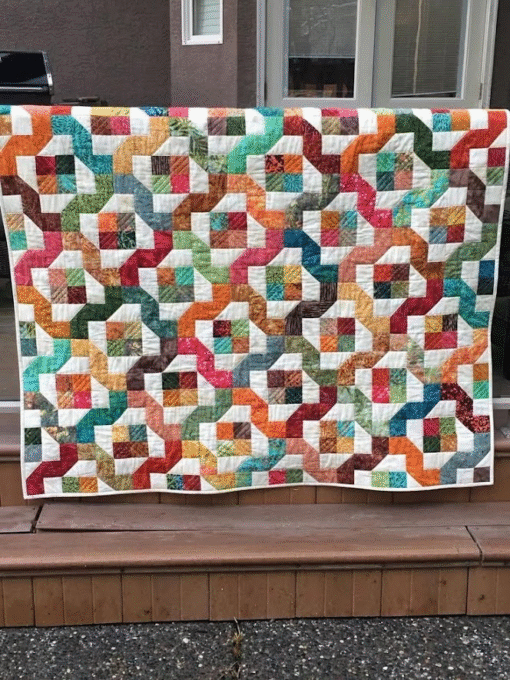 Interlocking Paths (Printed Edition)